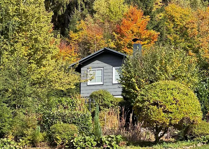 Am Arnsberg Kurort Steinbach-Hallenberg